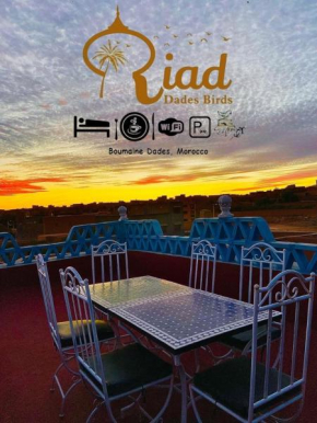 Riad Dades Birds